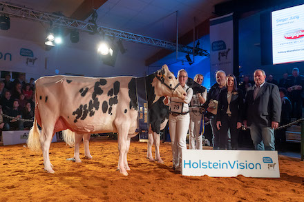 HolsteinVision_29_11_2018_336.jpg