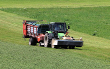 Traktor auf Wiese